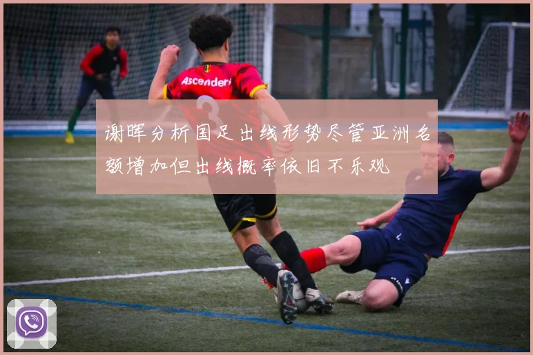 谢晖分析国足出线形势尽管亚洲名额增加但出线概率依旧不乐观