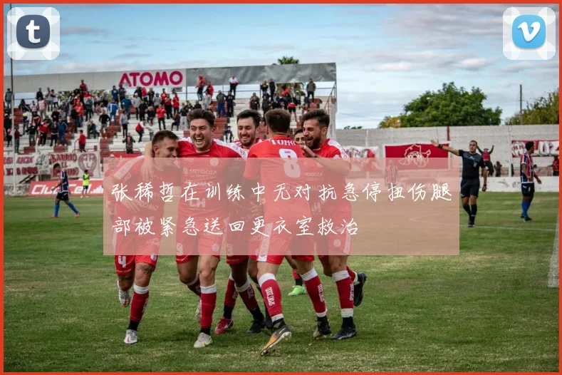 张稀哲在训练中无对抗急停扭伤腿部被紧急送回更衣室救治